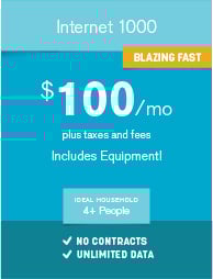 Internet 1000 100 Dollars-01 Internet 1000 100 Dollars-01